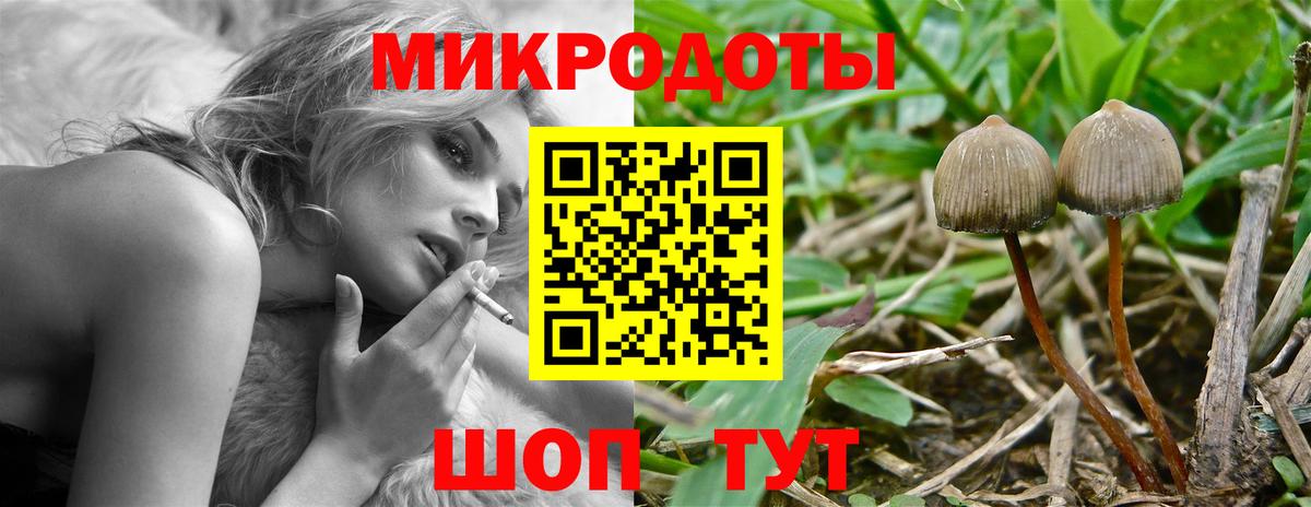 Псилоцибиновые грибы GOLDEN TEACHER Великие Луки